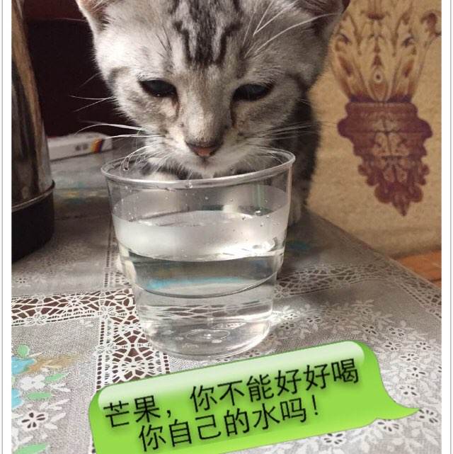 博洛尼亚美术学院 Physics degree